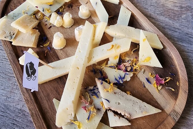 NO DIET CLUB - Unique local food tour in Ajaccio (English/French) - Price and value: is $74.49 a fair deal?