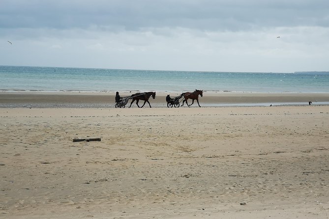 Normandy Battlefields Tour - American Sites (A3) - How the Timing Works: Expect Walking, Not a Museum Marathon