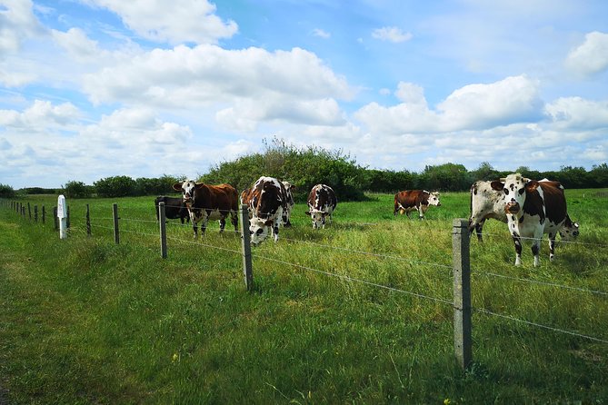 Normandy Battlefields Tour - American Sites (A3) - Price and Value: Why This One Can Be a Smart Deal