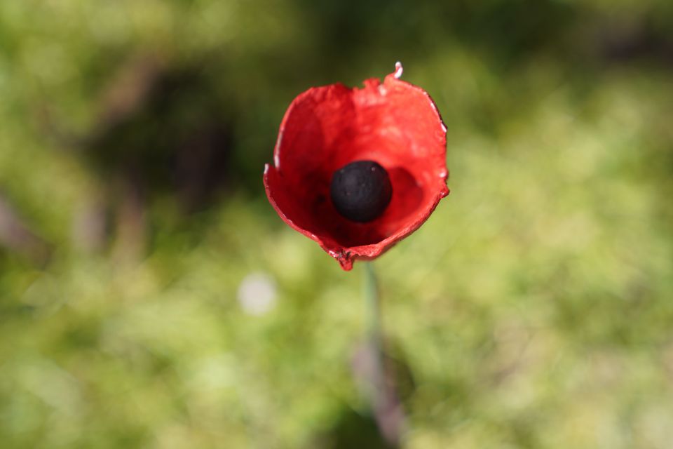 Normandy D-Day Beaches Private Canadian Sector from Caen - Why the Canadian sector deserves a full day
