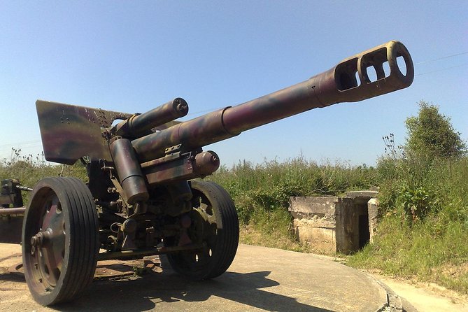 Normandy D-Day Landing Beaches Guided Tour from Paris by minivan - Who This Tour Fits Best (and Who May Want More Time)