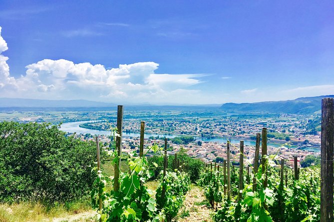 Northern Rhône Valley From Lyon Full day - Northern Rhône From Lyon: The Real Appeal of This Day Trip