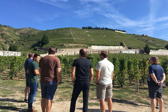 Northern Rhône Valley From Lyon Full day - Tain-l’Hermitage: Hermitage and Croze-Hermitage in the Spotlight