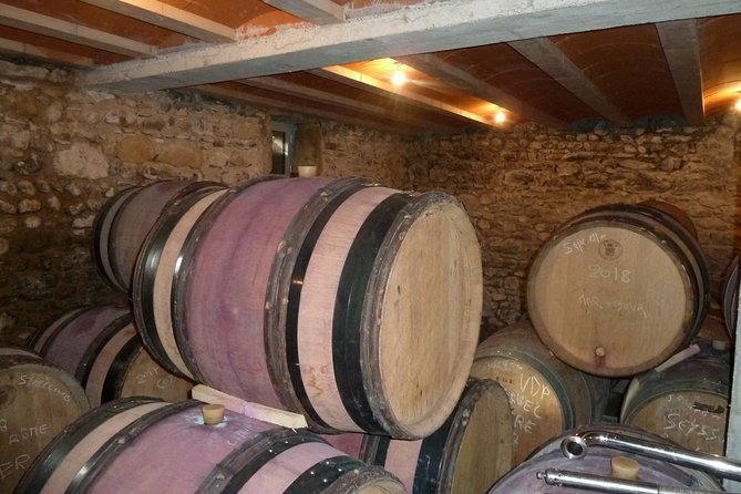 Northern Rhône Valley Wine tour from Lyon Half Day - Timing, traffic, and why your afternoon might run a bit wild