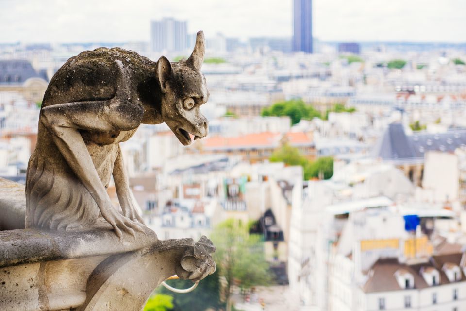 Notre Dame cathedral exterior tour & entrance with host - Should you book this Notre Dame exterior tour with entrance?