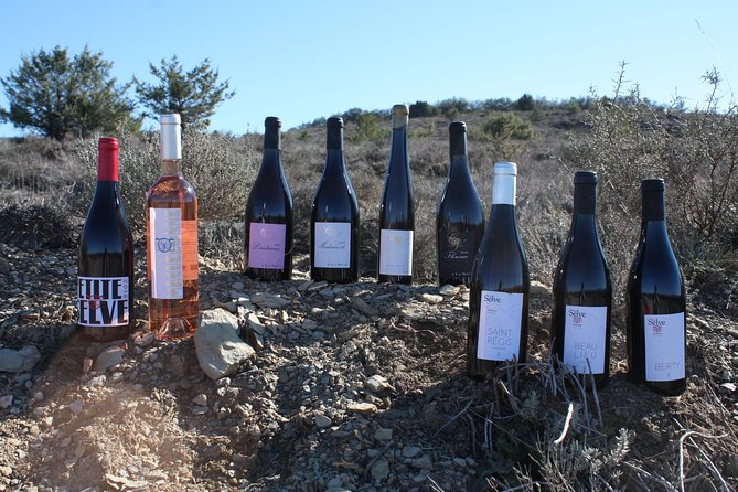 Oenological workshops at La Selve - Meeting the Château de la Selve wine team