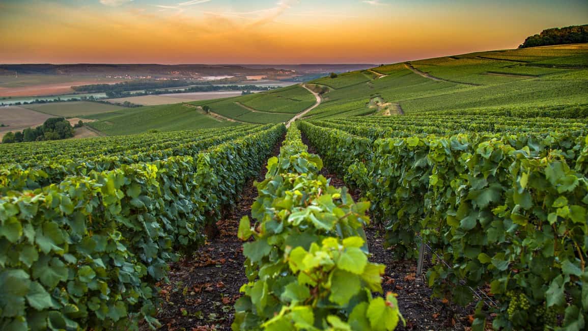 Organic Wine Tasting with Saint paul Half Day Tour from Nice - Saint-Jeannet Organic Winery Tasting: 6 Wines and Solar Aging Details