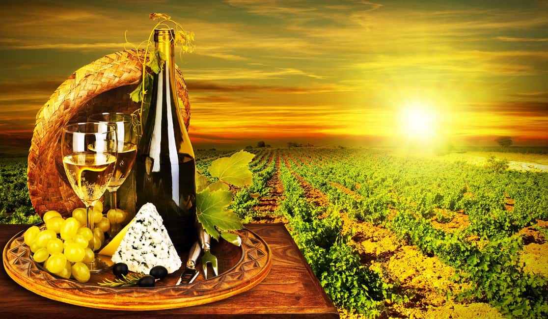 Organic Wine Tasting with Saint paul Half Day Tour from Nice - Saint-Paul-de-Vence Hilltop Hours: Art Streets and Riviera Views