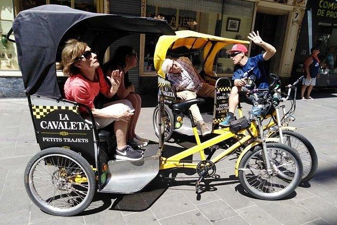 Original Nice city tour ( pedicab-vélo taxi) - Hearing the Guide: The One Thing to Plan Around