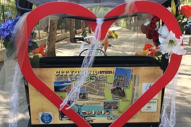 Original Nice city tour ( pedicab-vélo taxi) - Who This Tour Suits Best (and Who Might Want Something Else)