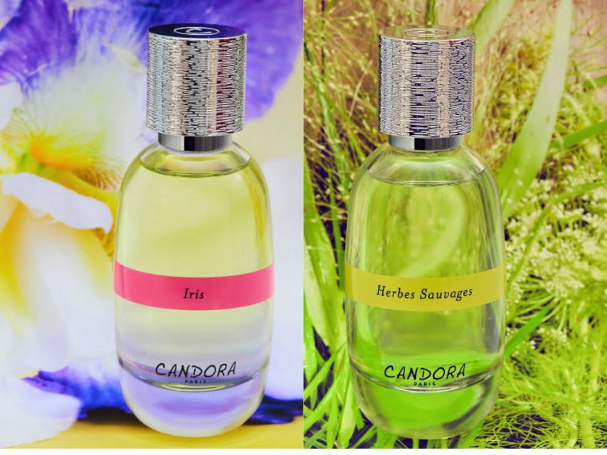 Paris: 2-Hour Perfume Creation Workshop - Smell training without a perfume degree