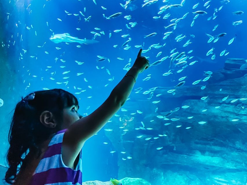Paris: Aquarium de Paris Entrance Ticket - Key highlights you’ll actually care about