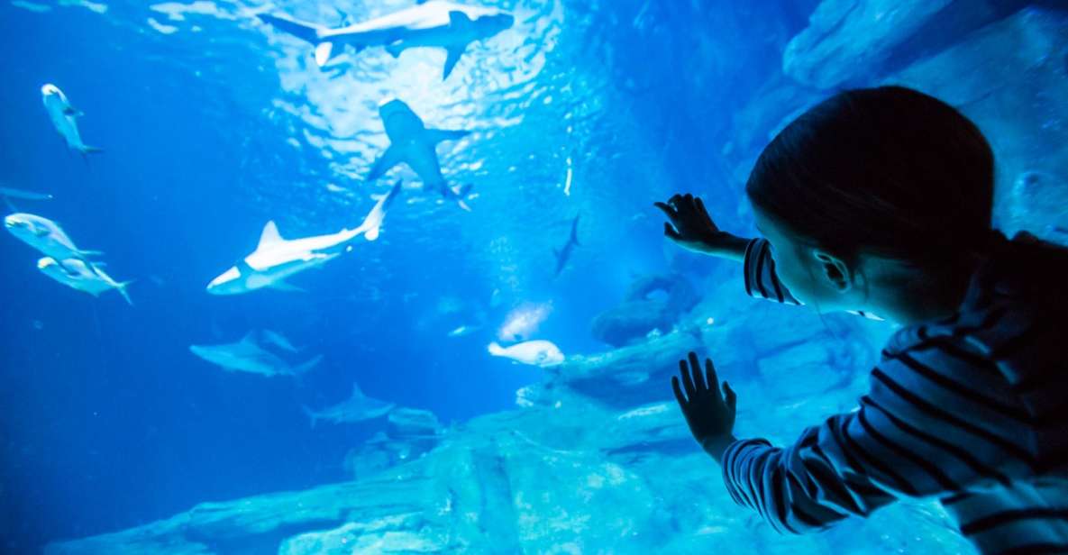 Paris: Aquarium de Paris Entrance Ticket - From Trocadéro to the Ocean in about as much time as it takes