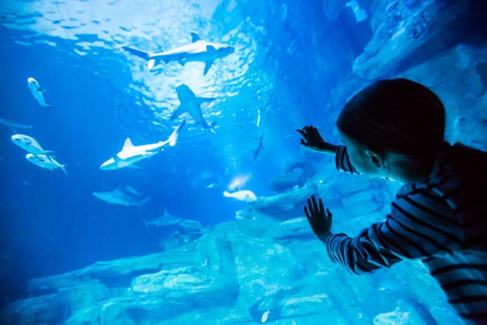 Paris: Aquarium de Paris Entrance Ticket - Touch pool time: stroking and feeding fish without losing your cool