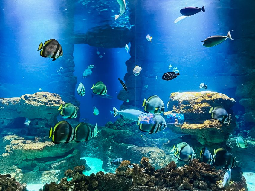 Paris: Aquarium de Paris Entrance Ticket - How long you’ll spend: planning for 1 to 2 hours, with an option to stretch to more