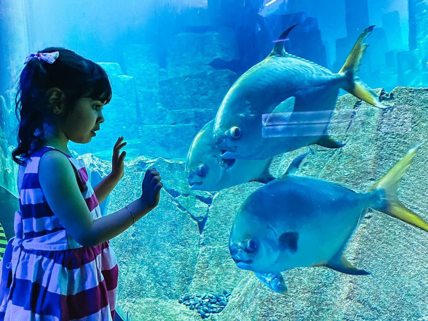 Paris: Aquarium de Paris Entrance Ticket - Price and value: is $25 a good deal for adults and families?