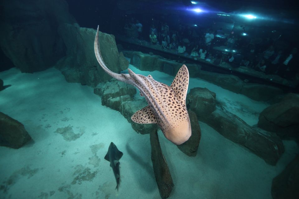 Paris: Aquarium de Paris Entrance Ticket - Practical tips before you go (so your day stays smooth)