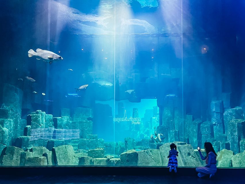 Paris: Aquarium de Paris Entrance Ticket - What you’ll see: sharks, sting rays, sea urchins, and that “how is this real?” feeling