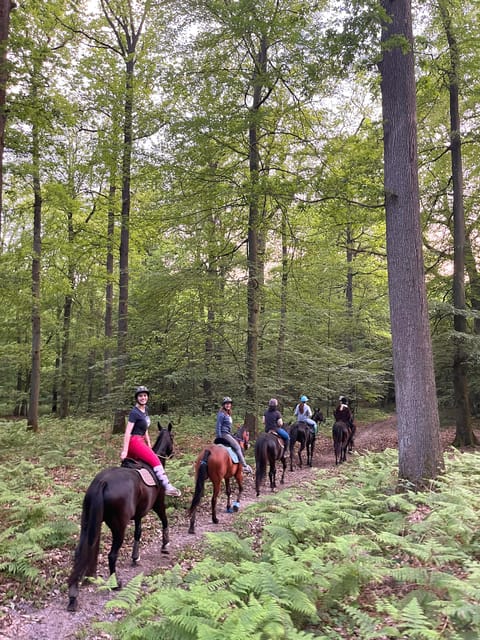 Paris: Aumont-en-Halatte Horseback Riding Tour - Should you book Paris: Aumont-en-Halatte horseback riding?