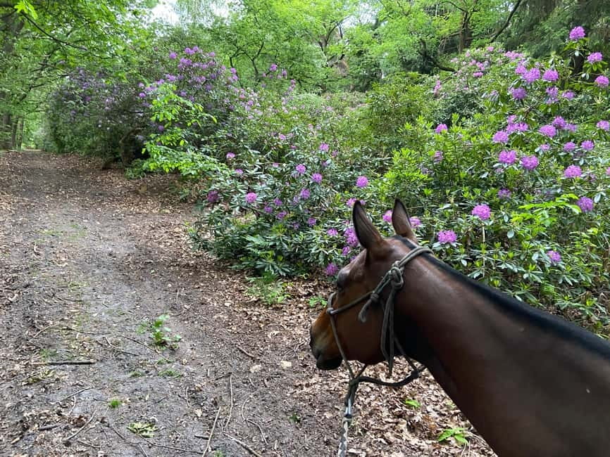 Paris: Aumont-en-Halatte Horseback Riding Tour - Meeting La Horse Club and getting geared up