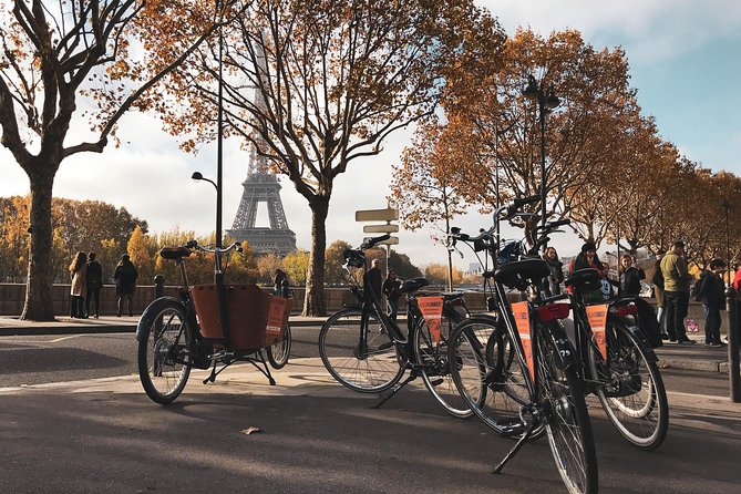 Paris: City Bike Tour on a Dutch Bike - The Champs-Élysées lower stretch plus Petit Palais and Grand Palais