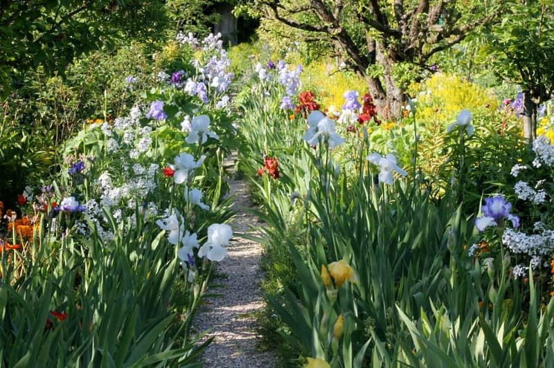 Paris: Giverny Gardens Day Trip with Professional Tour Guide - Why Giverny is worth leaving Paris