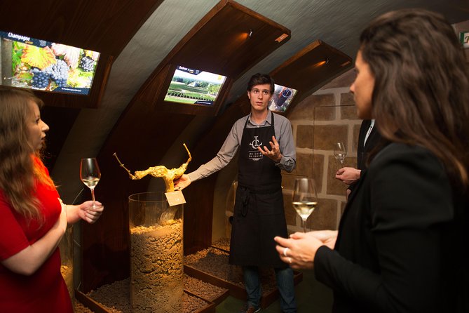 Paris - Guided Visit & Tasting in a Royal Wine Cellar - Who This Tour Fits Best (and Who Might Want More)