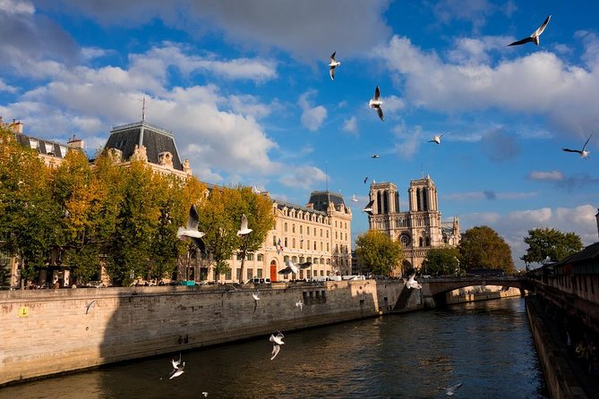 Paris Highlights Private Tour - All Paris in one day ! - Tuileries Garden: A Breather in the Middle of the Big Sights