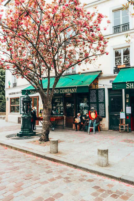 Paris: Latin Quarter Highlights Walking Tour - Saint Julien le Pauvre: a quiet church that changes how you see the neighborhood
