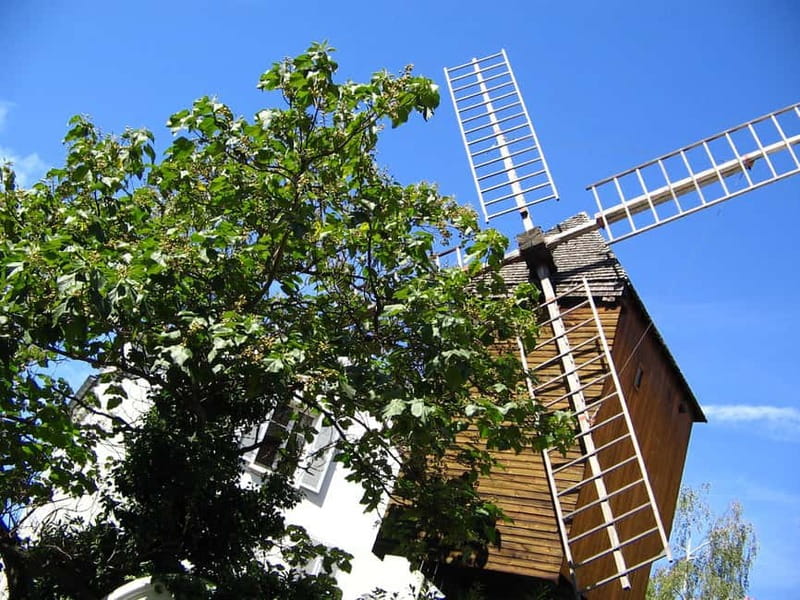 Paris: Montmartre Private Guided Walking Tour - Rue Lepic and the Impressionism story: art starts on ordinary streets