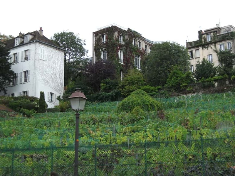 Paris: Montmartre Private Guided Walking Tour - Cabarets and Can-Can legends near Moulin Rouge and Moulin de la Galette