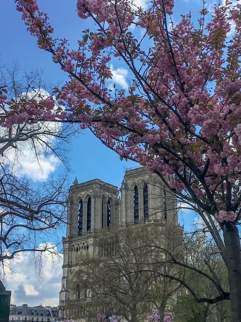 Paris: Notre Dame Exteriors and Ile de la Cité Walking Tour - What the guide adds