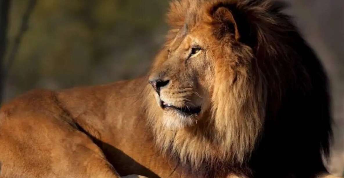 Paris: Paris Zoological Park Entrance Ticket - Key Highlights Worth Planning Around