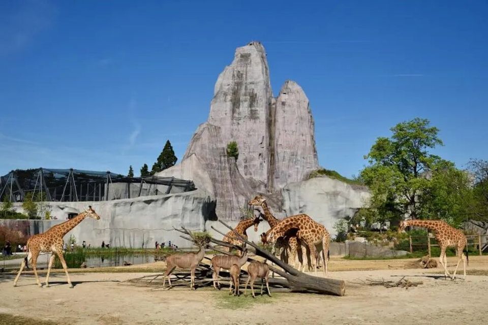 Paris: Paris Zoological Park Entrance Ticket - Entering Paris Zoological Park Without the Headache