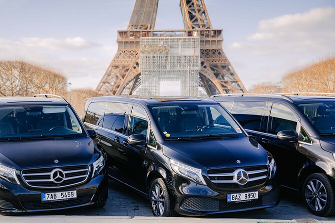 Paris Private City Tour Experience - The Big Trade-Off: Commentary, Language, and Expectations