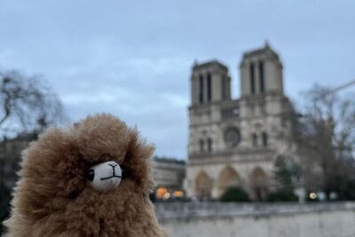 Paris Private Guided Walking Tour with Notre-Dame Visit - Meeting at Pont Neuf with Henri IV