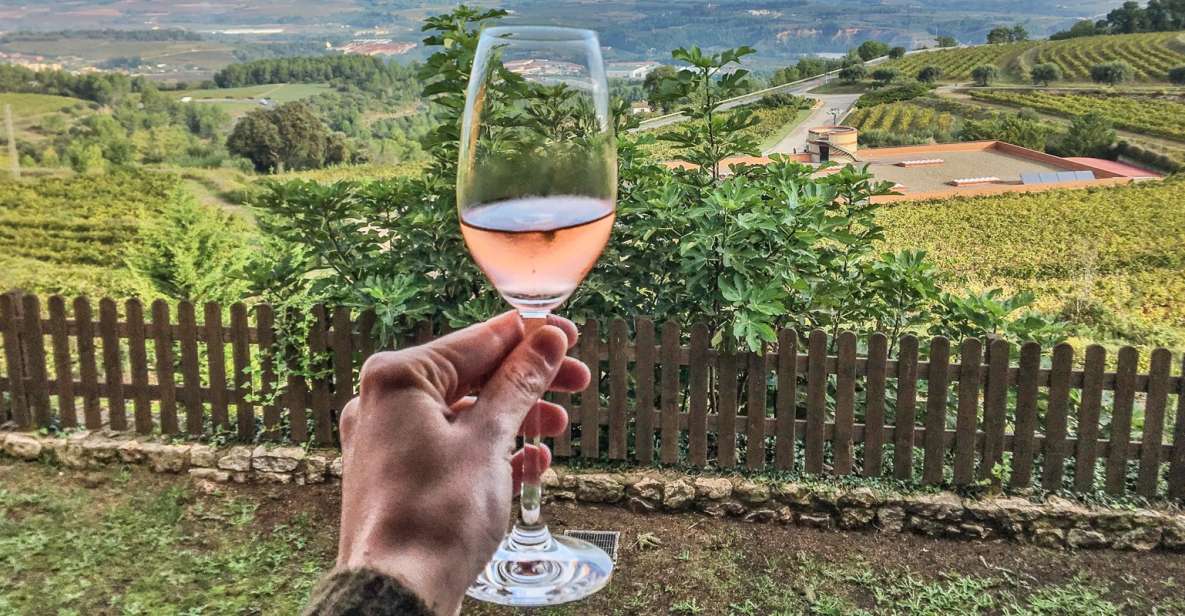 Paris: Two Reims Champagne Vineyards with Tastings and Lunch - Why the Paris to Reims train makes sense