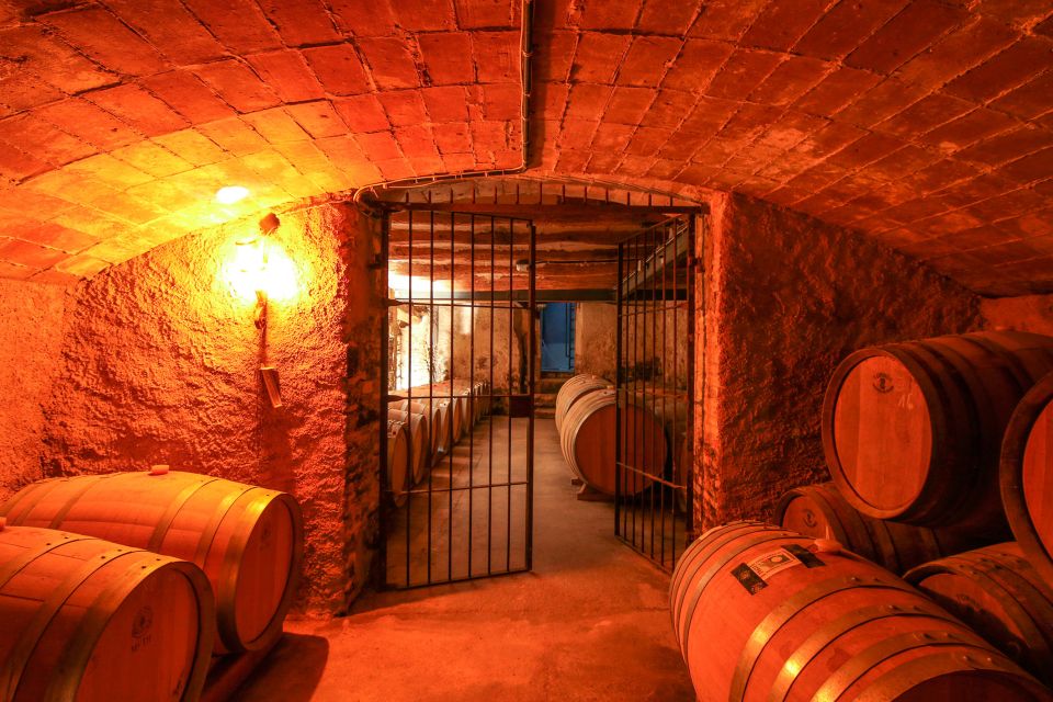 Paris: Two Reims Champagne Vineyards with Tastings and Lunch - The first cellar: Champagne GH Martel & Co
