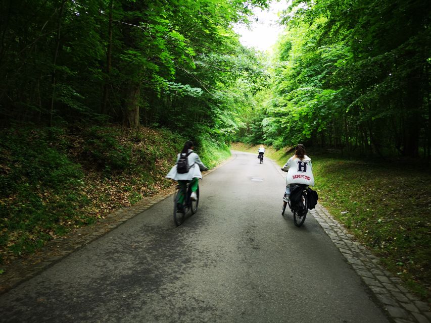 Paris: Versailles Palace and Queen Hamlet E-Bike Tour - Marnes-la-Coquette and Fausses-Reposes: shaded, calmer, and a little more challenging