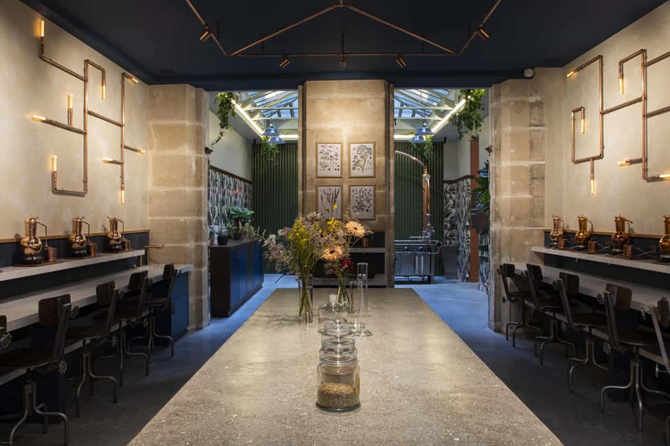 Paris Visit and gin tasting in English - What the one-hour visit covers