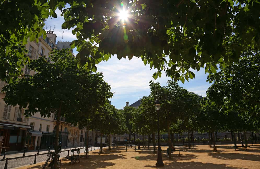 Paris: Walking Tour with Notre Dame or Ste-Chapelle Access - Logistics That Actually Matter: Shoes, Bags, and Pacing