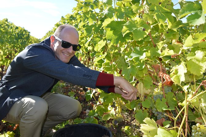 Paris Wine Day Tours exclusive Champagne tour incl. 3 visits - A 7:00 am Start That Actually Works for One-Day Champagne