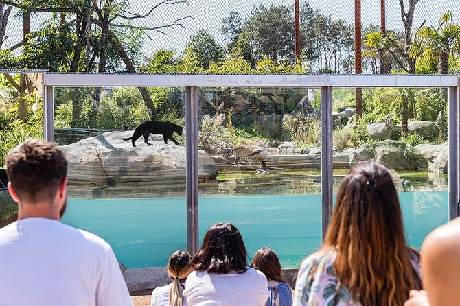 Parrot World Immersive Wildlife Park Entry Ticket next to Paris - Time Plan: How to Do It in 2–3 Hours Without Feeling Rushed