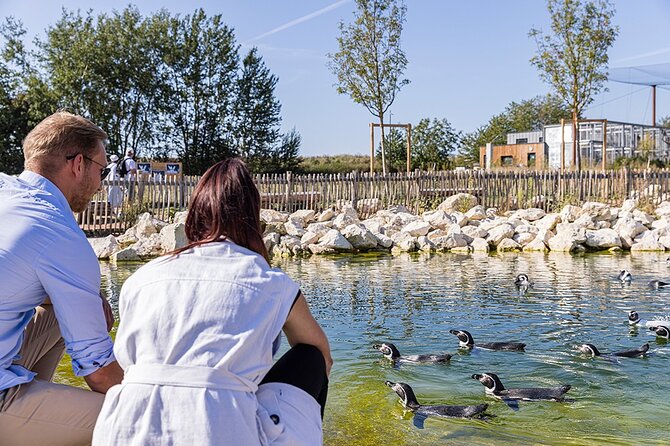 Parrot World Immersive Wildlife Park Entry Ticket next to Paris - Weather Reality: Wind, Rain, and What That Means for Your Day