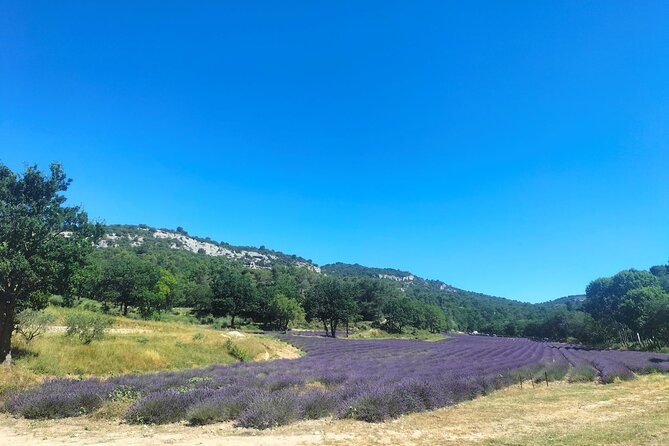 Pearls of Luberon : Gordes, Rousillon & Sénanque Abbey - Key points to know before booking