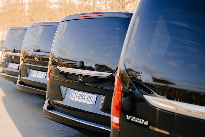 Personalized Transport service from Disneyland to Paris - Meeting at hotels: simple drop-off pickup