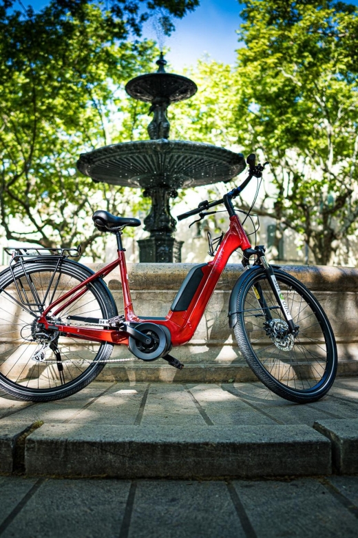 Picnic in the middle of a vineyard by e-bike - What the $51 price really covers