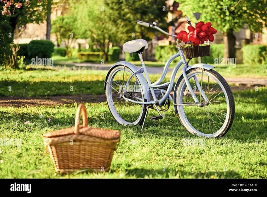 Picnic in the middle of a vineyard by e-bike - Booking details that matter
