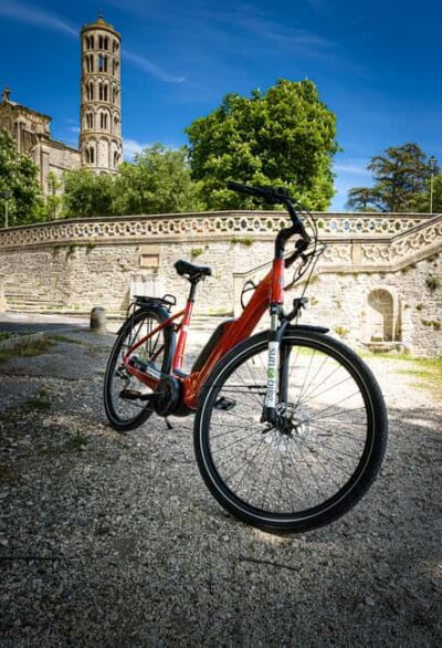 Picnic in the middle of olive groves by e-bike - What the e-bike adds to the Alpilles