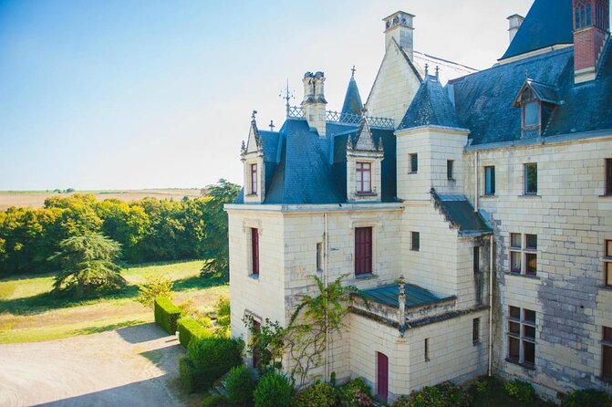 Picnic in the Vines - A Unique Loire Wine Experience - Key things to know before you go